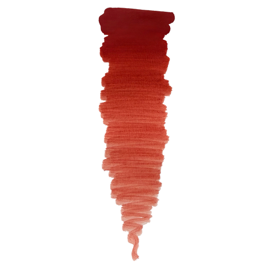 Bright Coral